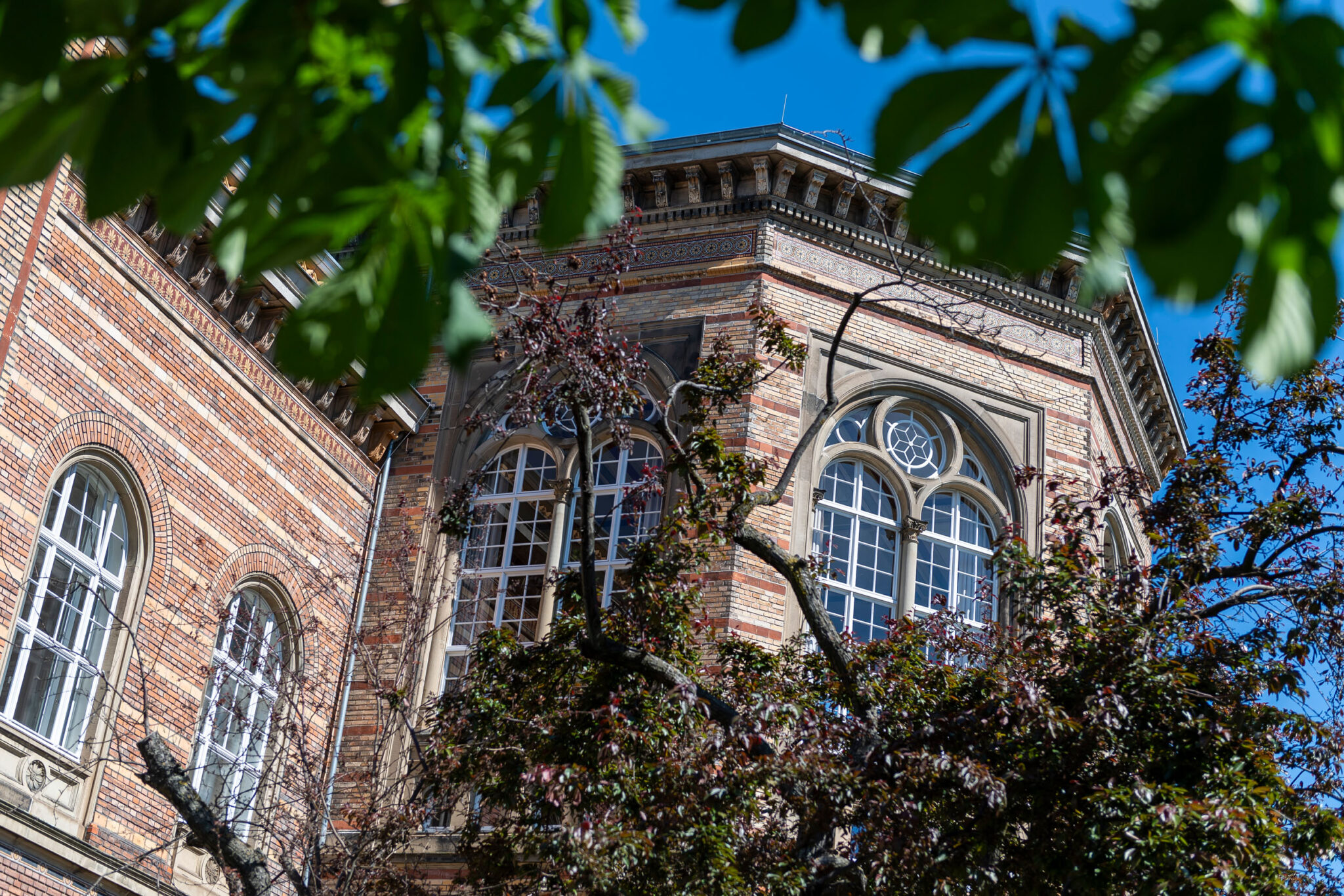 UNI_BONN_2020_032 | Christian Nielinger